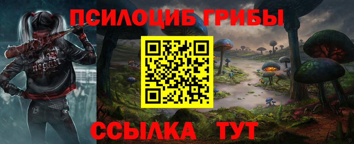 Псилоцибиновые грибы Psilocybe Шелехов